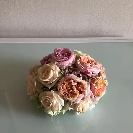 Apartment Vivi Cernobbio, La Sua Arte, La Sua Magia *