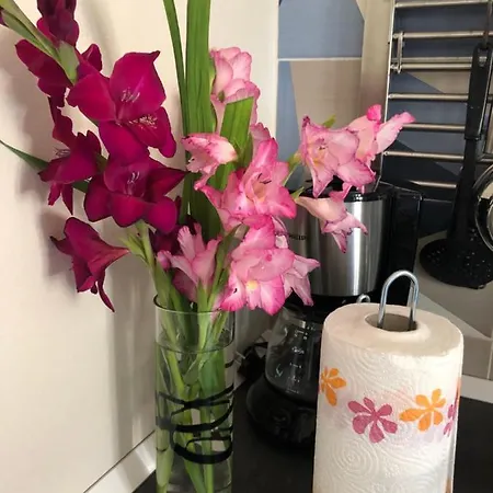 Vivi Cernobbio, La Sua Arte, La Sua Magia Apartment